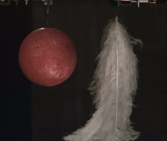 Which Falls Faster – A Feather or a Bowling Ball?