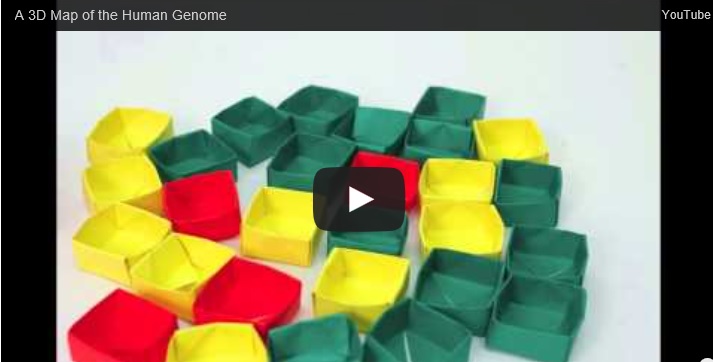 The Art of DNA Folding