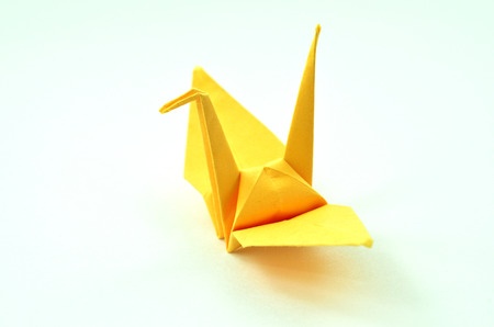 Natural Selection of the Carmel Origami Bird