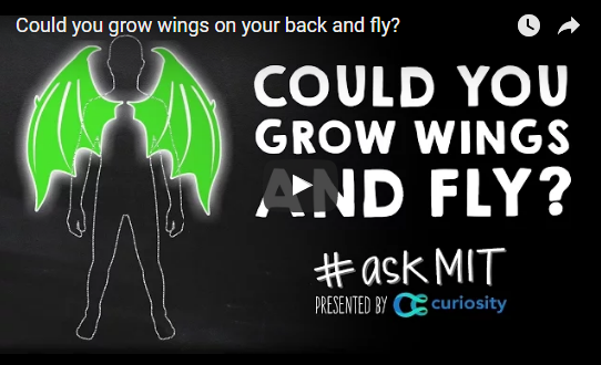 Could you grow wings on your back and fly?