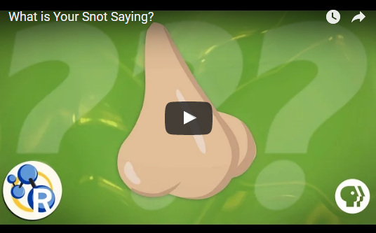What is Your Snot Saying?