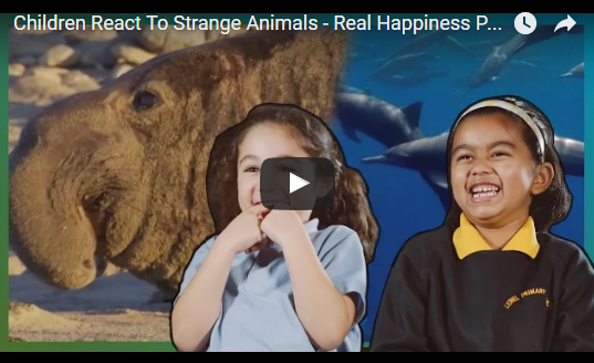 Children React To Strange Animals – Real Happiness Project – Earth Unplugged