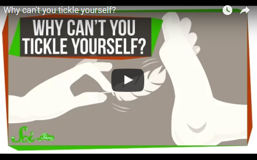 Why can’t you tickle yourself?