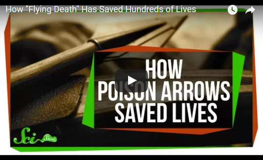 How “Flying Death” Has Saved Hundreds of Lives