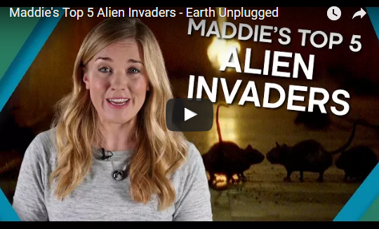 Maddie’s Top 5 Alien Invaders – Earth Unplugged