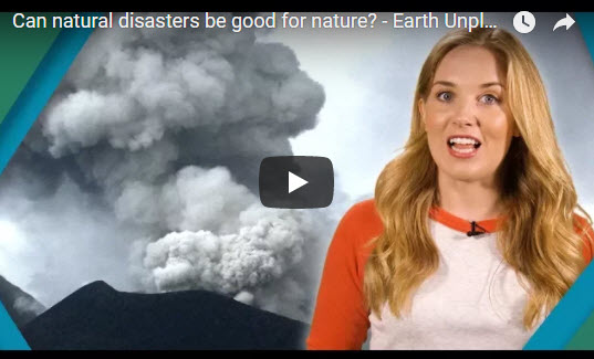 Can natural disasters be good for nature? – Earth Unplugged