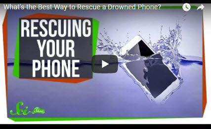 What’s the Best Way to Rescue a Drowned Phone?