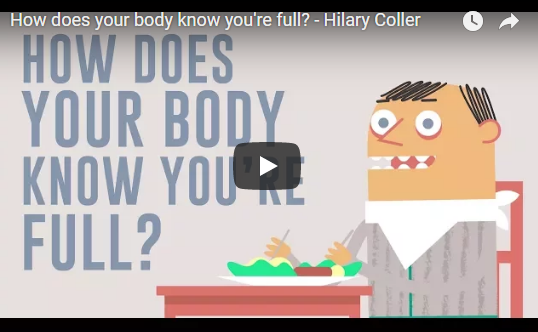 How does your body know you’re full? TED-Ed
