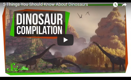 5 Things You Should Know About Dinosaurs