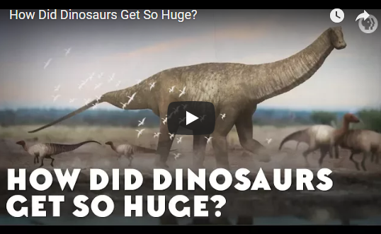 How Did Dinosaurs Get So Huge?