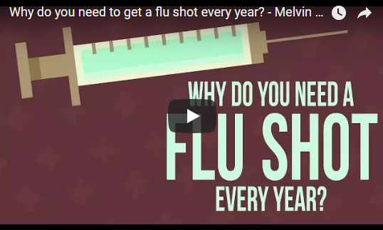 Why do you need to get a flu shot every year? – TED-Ed