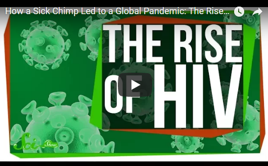 The Rise of HIV
