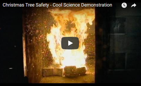 Christmas Tree Safety – Cool Science Demonstration