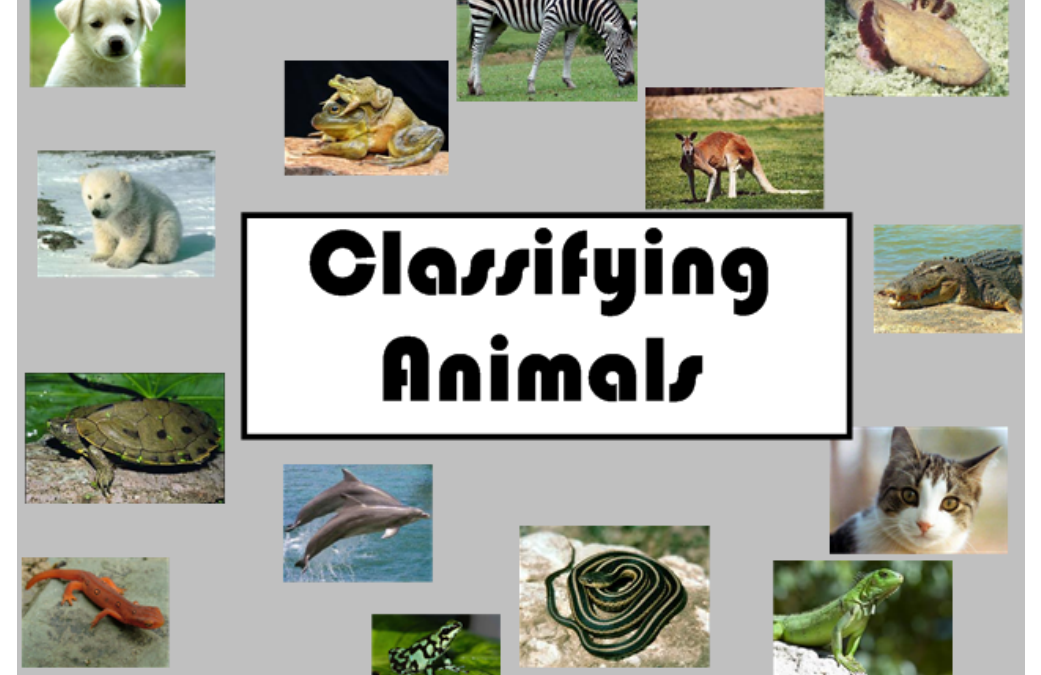 ANIMALS AND CRITICAL THINKING IN GRADE 2
