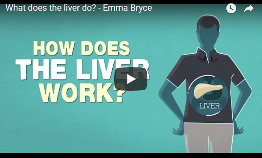 What does the liver do? – Emma Bryce