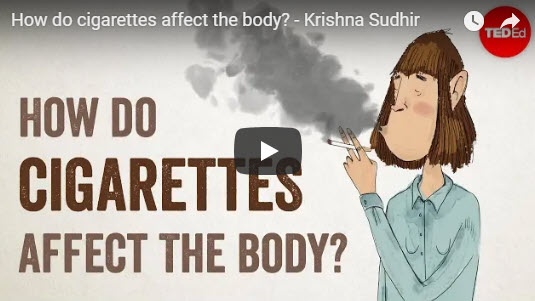 How do cigarettes affect the body? – TED Ed by Krishna Sudhir