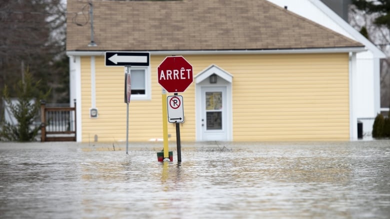 Climate change and poor planning are fuelling more floods. Here’s what we can do about it | CBC News