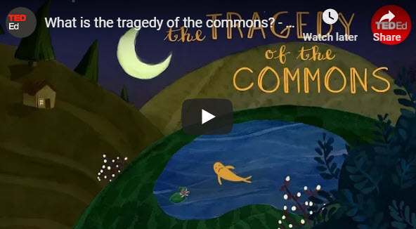 What is the tragedy of the commons? – Nicholas Amendolare – TED Ed