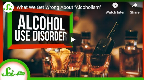 (1) What We Get Wrong About “Alcoholism” – YouTube