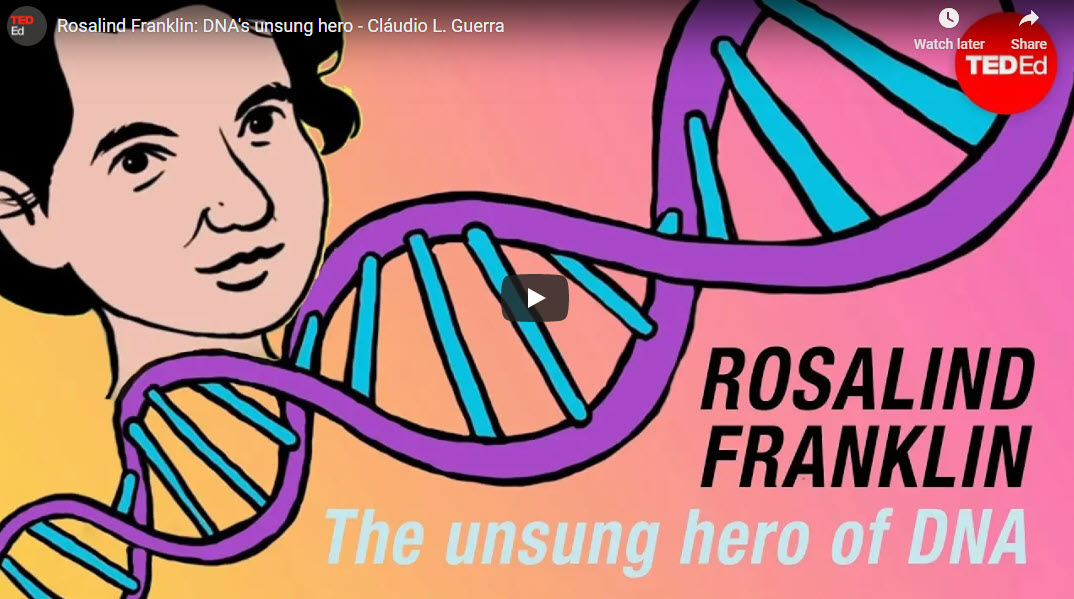 Rosalind Franklin: DNA’s unsung hero – TED-Ed