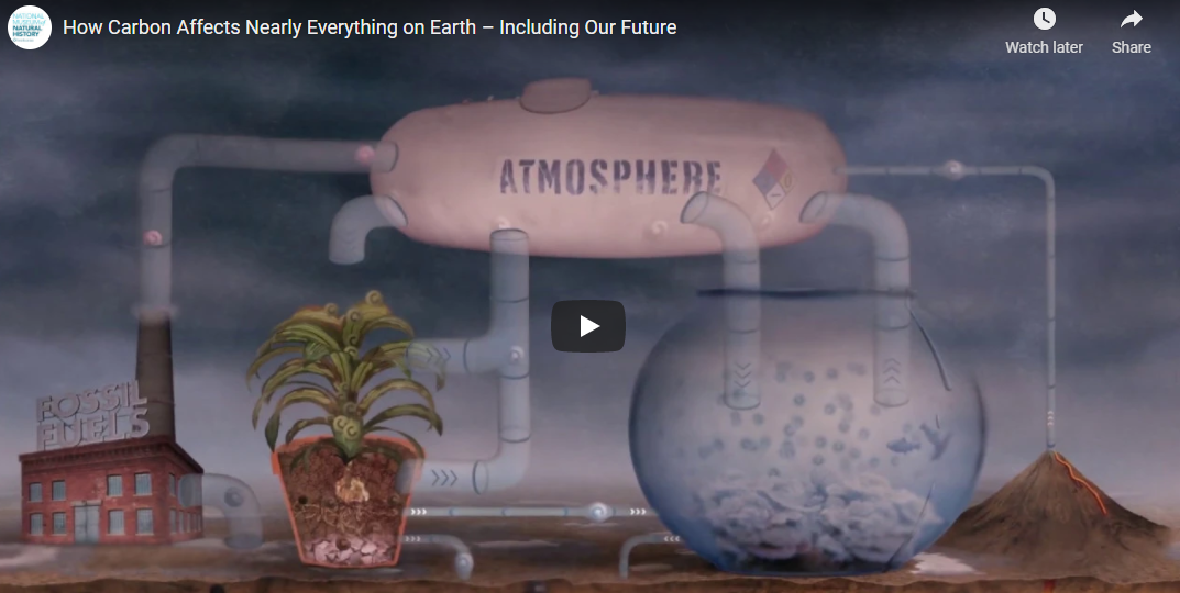 How Carbon Affects Nearly Everything on Earth – Including Our Future – Smithsonian Museum of Natural History