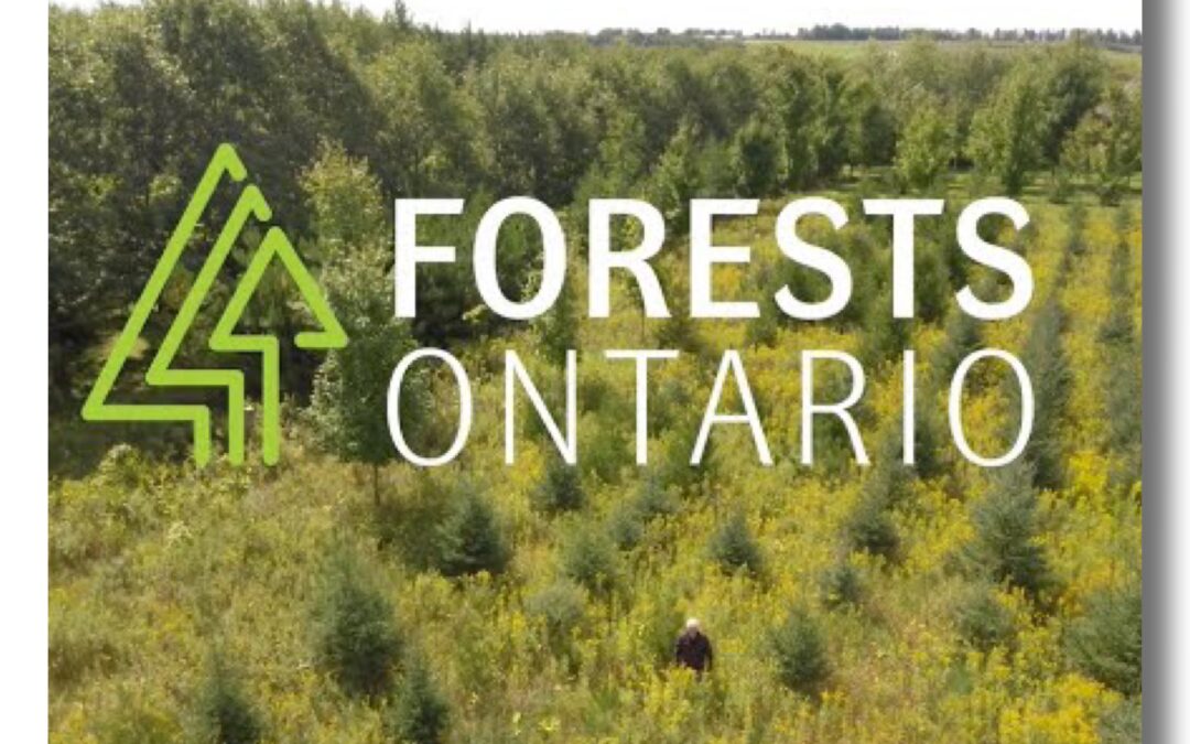 Forests Ontario – Teaching with Trees: FREE Virtual Educator Training Workshop