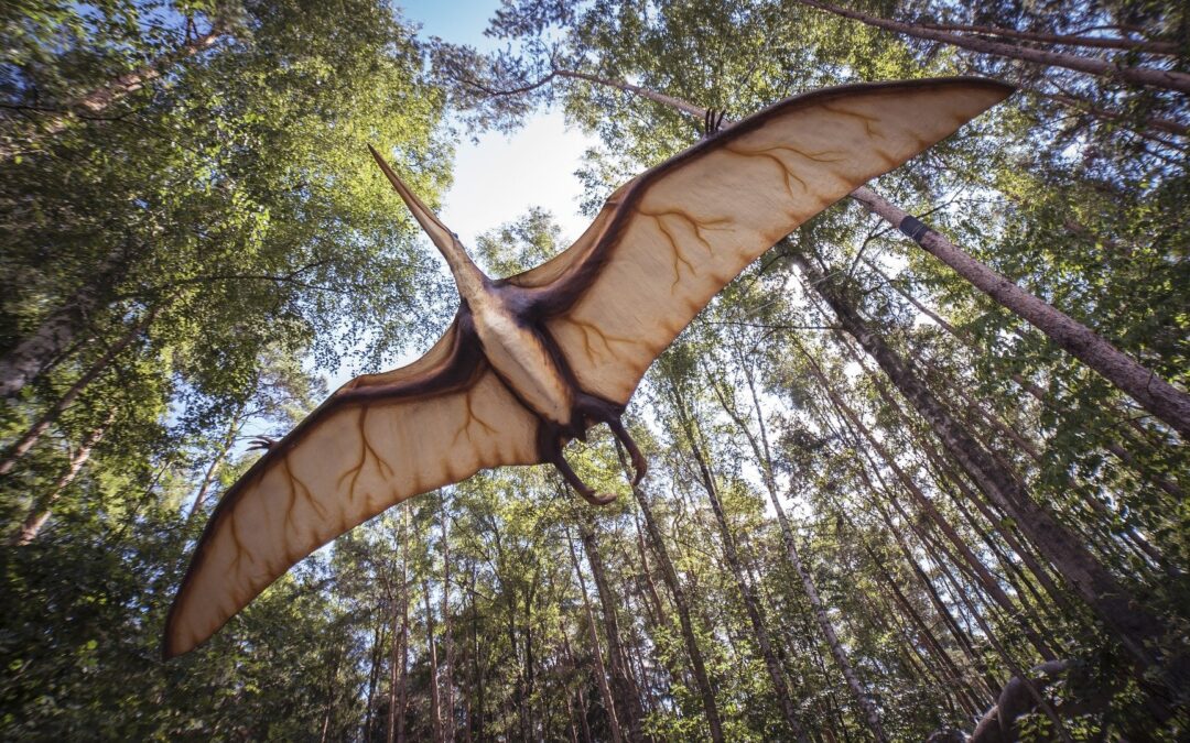 Huge flying reptile sets Jurassic record – CBC article
