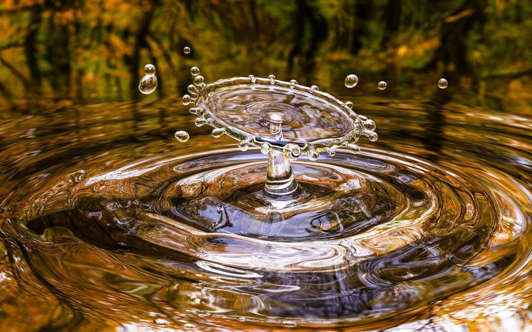 World Water Day – Tues March 22 – resources from FNMIEAO