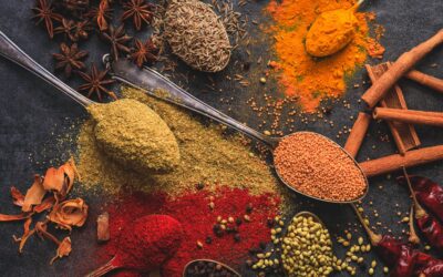 Darwinian Gastronomy: A Spice Story?